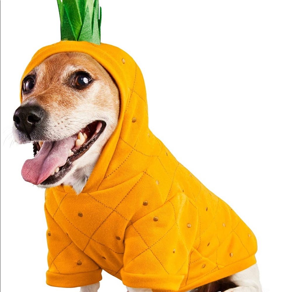 HP 2X π PINEAPPLE π PiΓ±a Colada DOG costume XS dress up - Picture 2 of 6